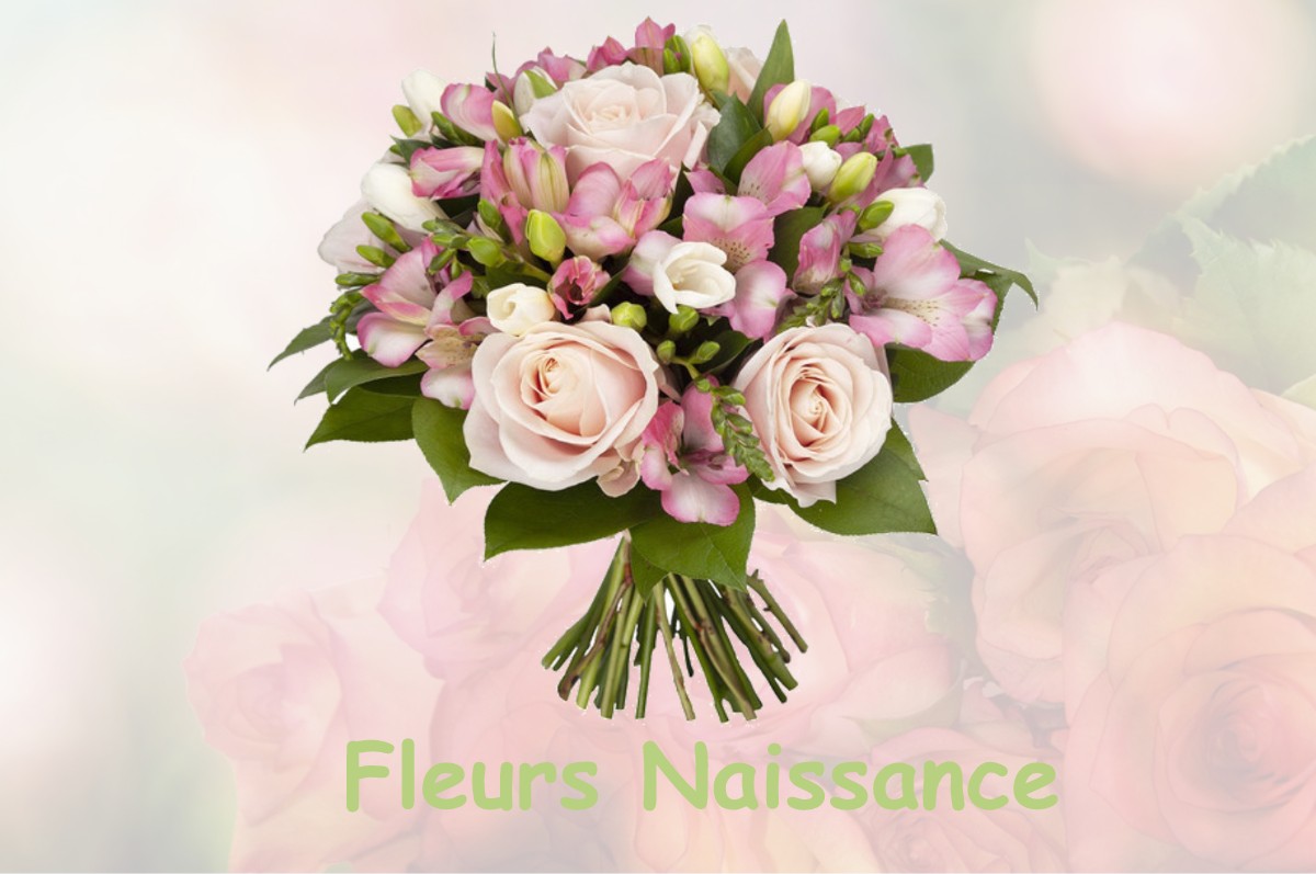 fleurs naissance ROUVRAY-SAINT-FLORENTIN